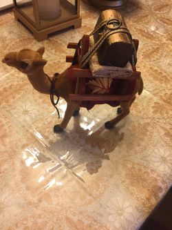Authentic camel from Jerusalem