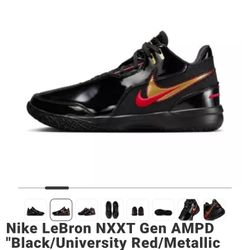 Nike LeBron NXT