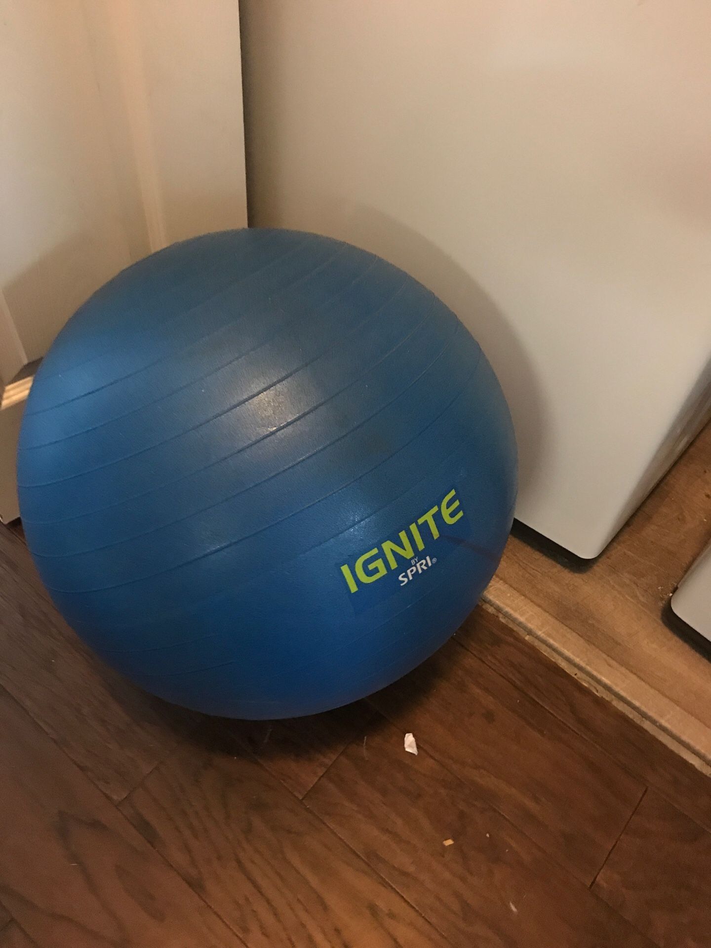 Ignite work out ball