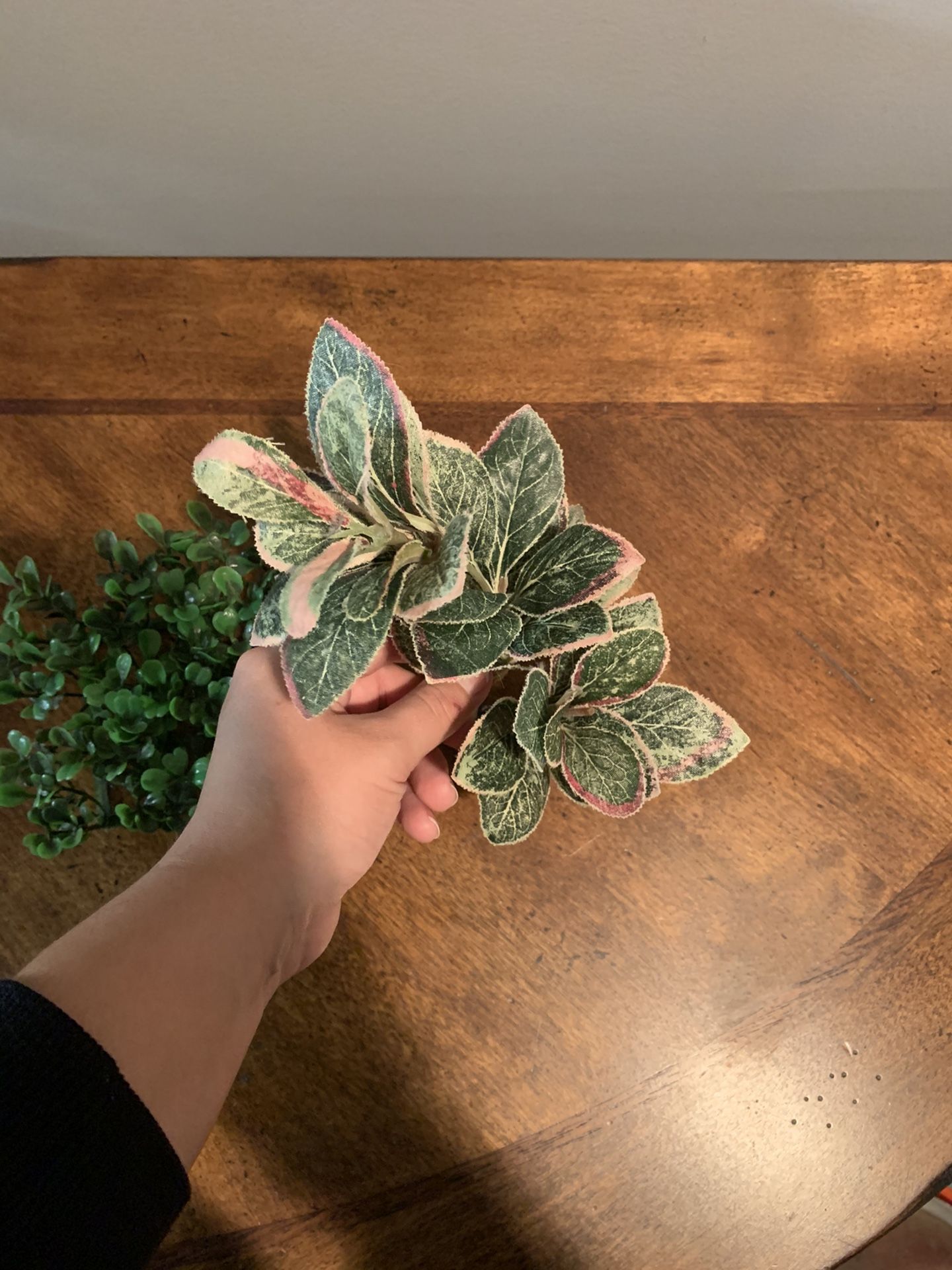 Fake Fish Tanks Plants