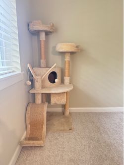 Cat tree - 55 inches