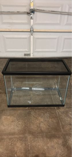 20gallon clear tank