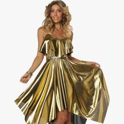 Disco Dress Costume