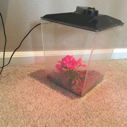 Fish Tank With Accessories 
