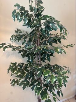 6 foot tall Artificial Tree