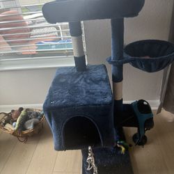 Cat Toys And Relaxing Post For Sale