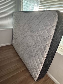 Queen bed Mattress only