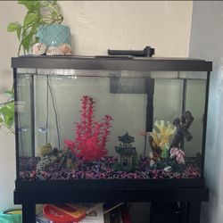 20 Gallon Fish Tank