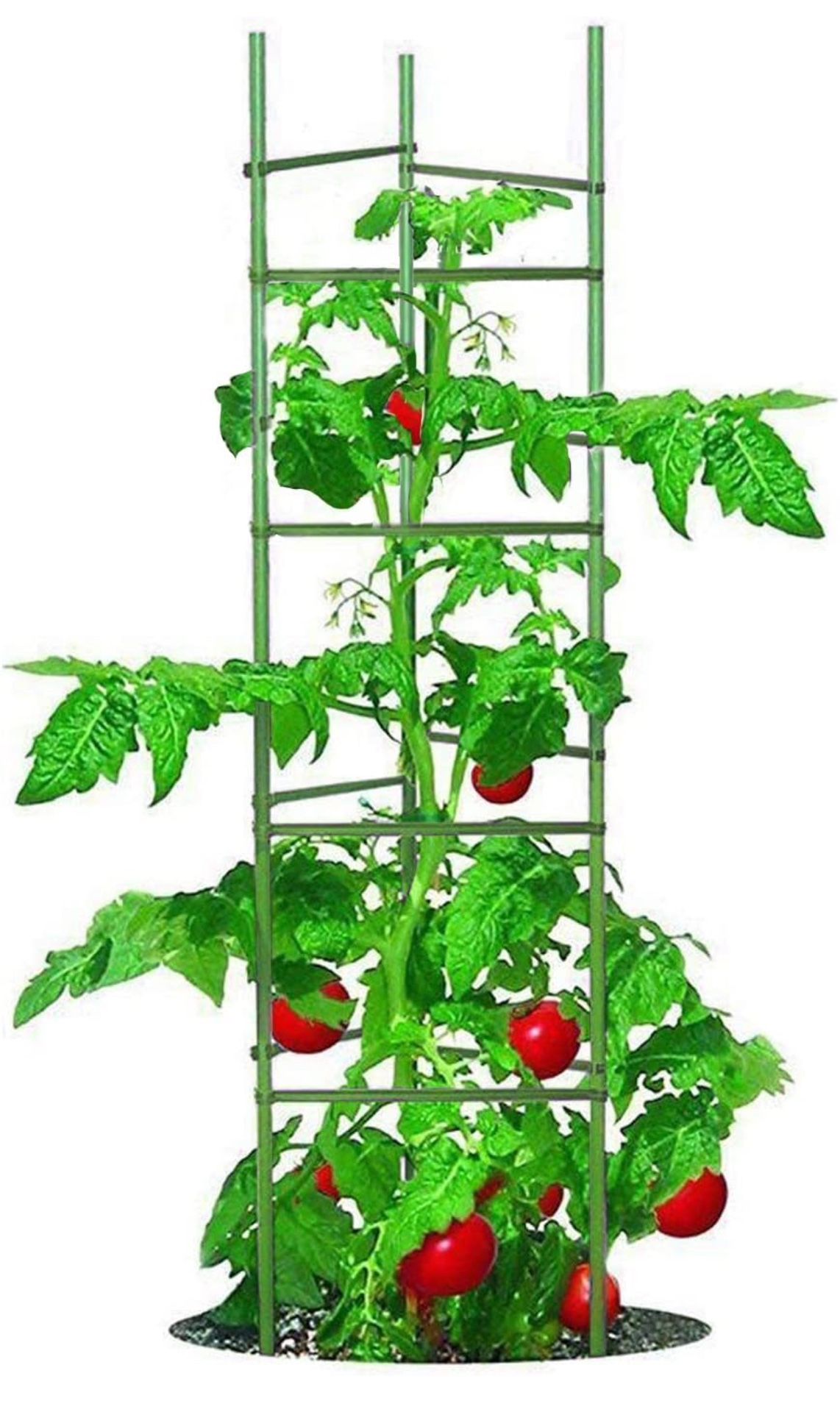 Tomato Cage 5ft 6-Pack Large Tall Tomato Cages Tomato Stakes Plants Supports Garden Stakes,40 Clips and Plant Ties Include, Green