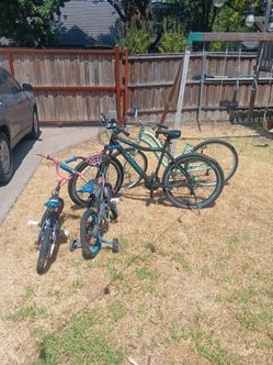 Bikes 4  $50
