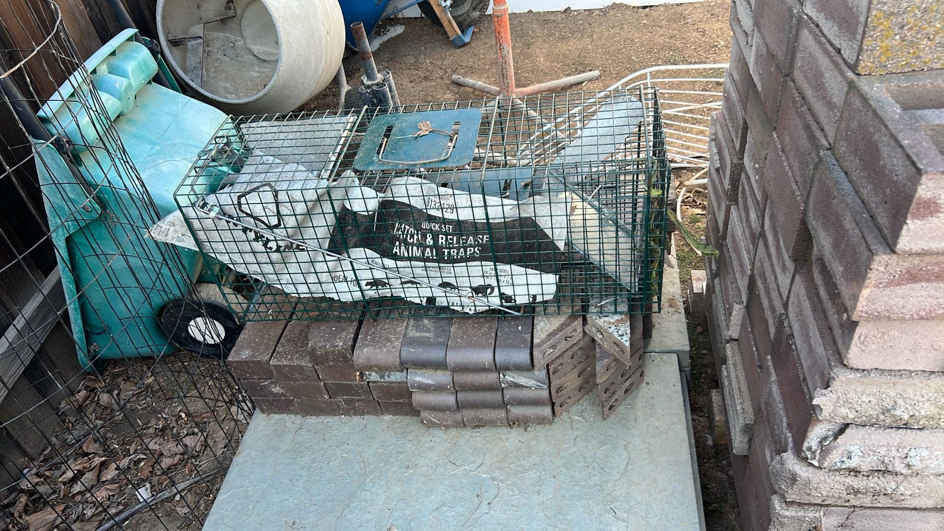 Catch And Release Animal Trap