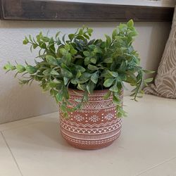 Decorative Plant