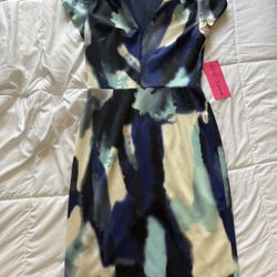 NWT Betsey Johnson Dress Size 10 Blue/ White