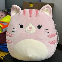 Squishmallow Laura The Pink Tabby Cat