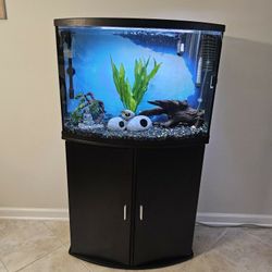 36 Gallon Bow Front Fish Tank And Filter