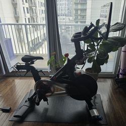 Peloton Bike