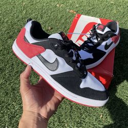 Sz 10.5 Nike SB $40 FIRM NO TRADES