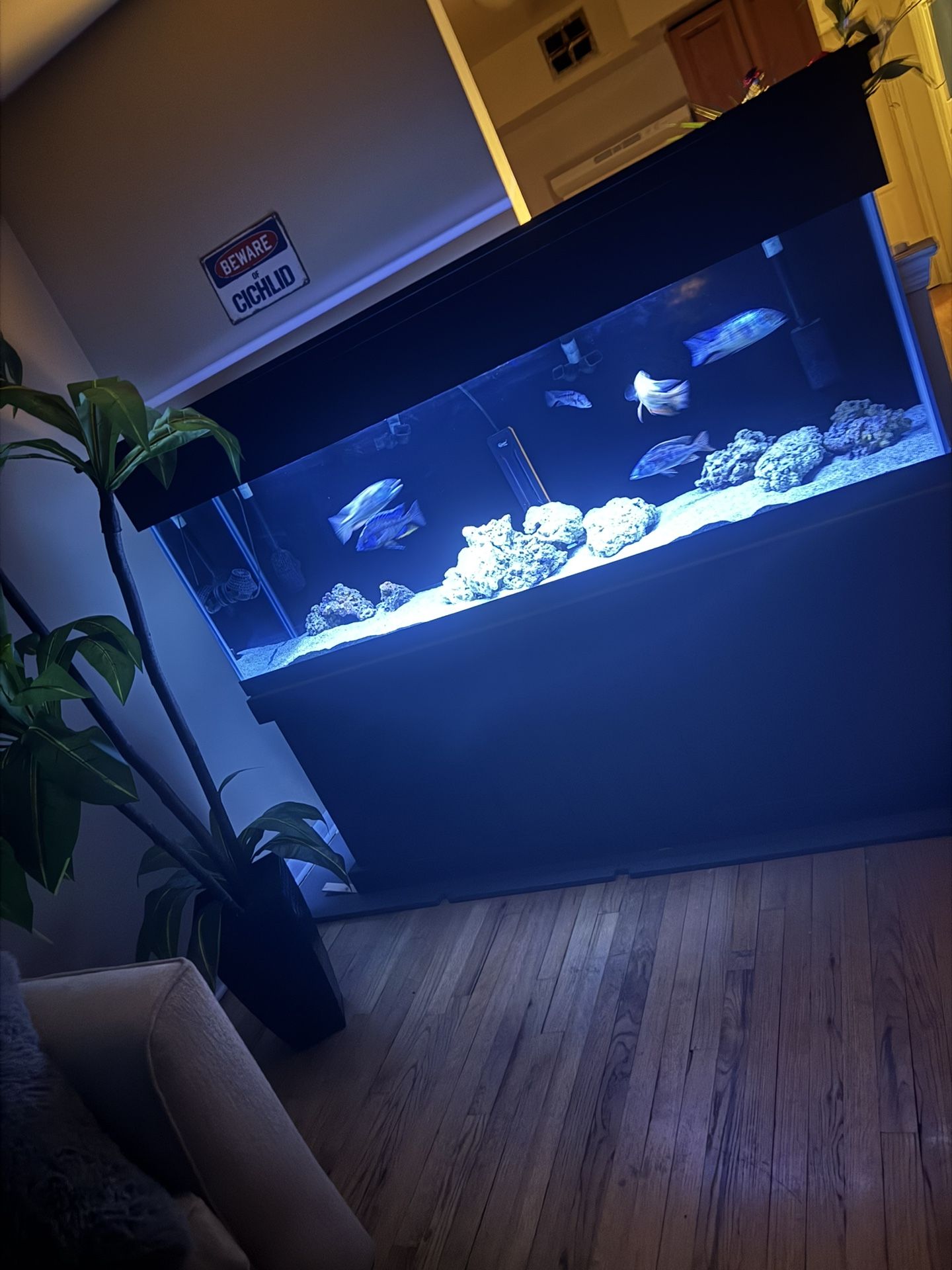 Fish Tank