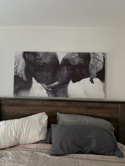 Elephant Lover Canvas