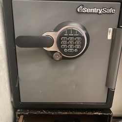 Sentry Safe