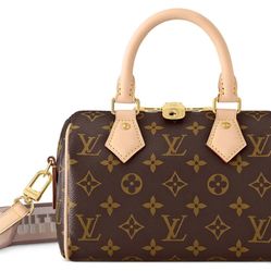 Louis Vuitton Speedy  20 cm Monogram