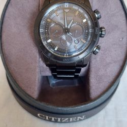 Citizen Eco Drive Ecosphere Mens Watch