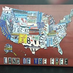 Land Of The Free Frame. Item No 923 (Shopgoodwill)