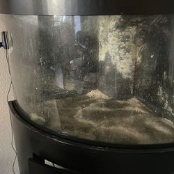 50 gallon saltwater