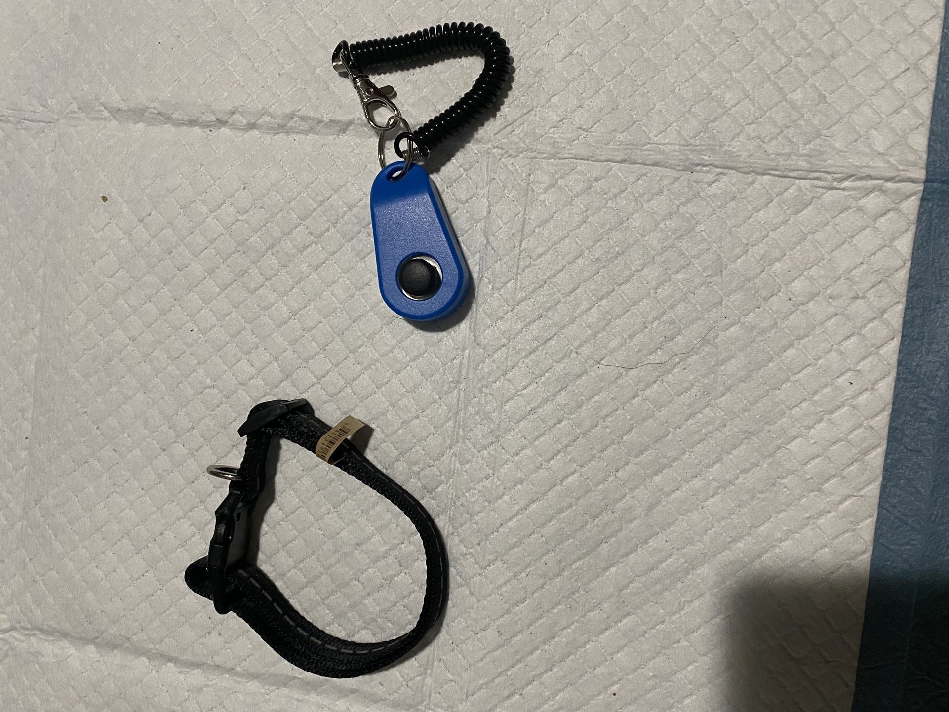Dog Items 