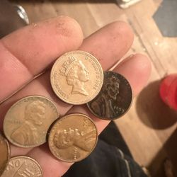 Coin Collection Adds 