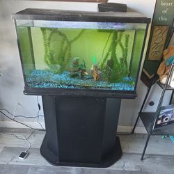 Fish tank with stand