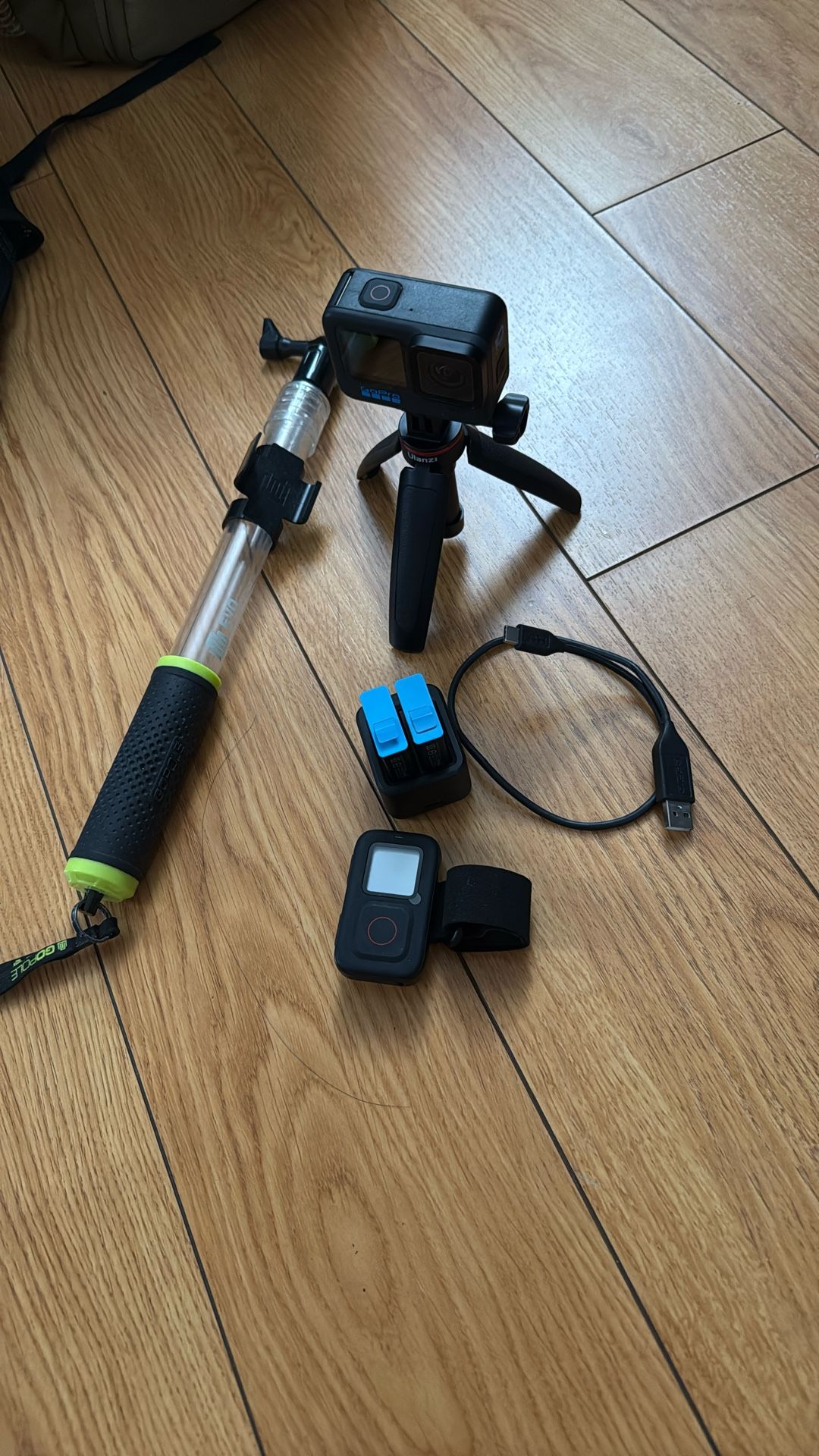 Gopro 10 With Remote W/64gb SD