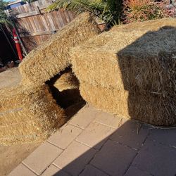 Hay 