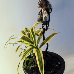 Handmade Tiny Treehouse (8-12" Tall, Made From Sustainable Materials)