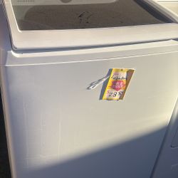 Bonita Labadora Samsung  Tina Grande 