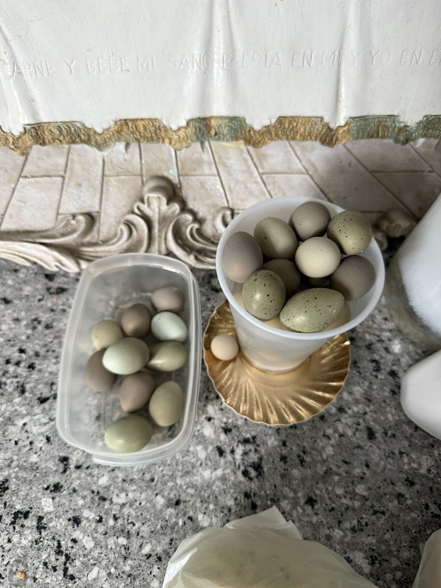 Button Quail Eggs