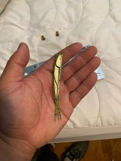 Angling ai injection mold 4 inch jigging minnow