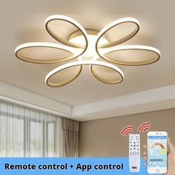 Modern Led Chandelier Lighting. Diameter 29”