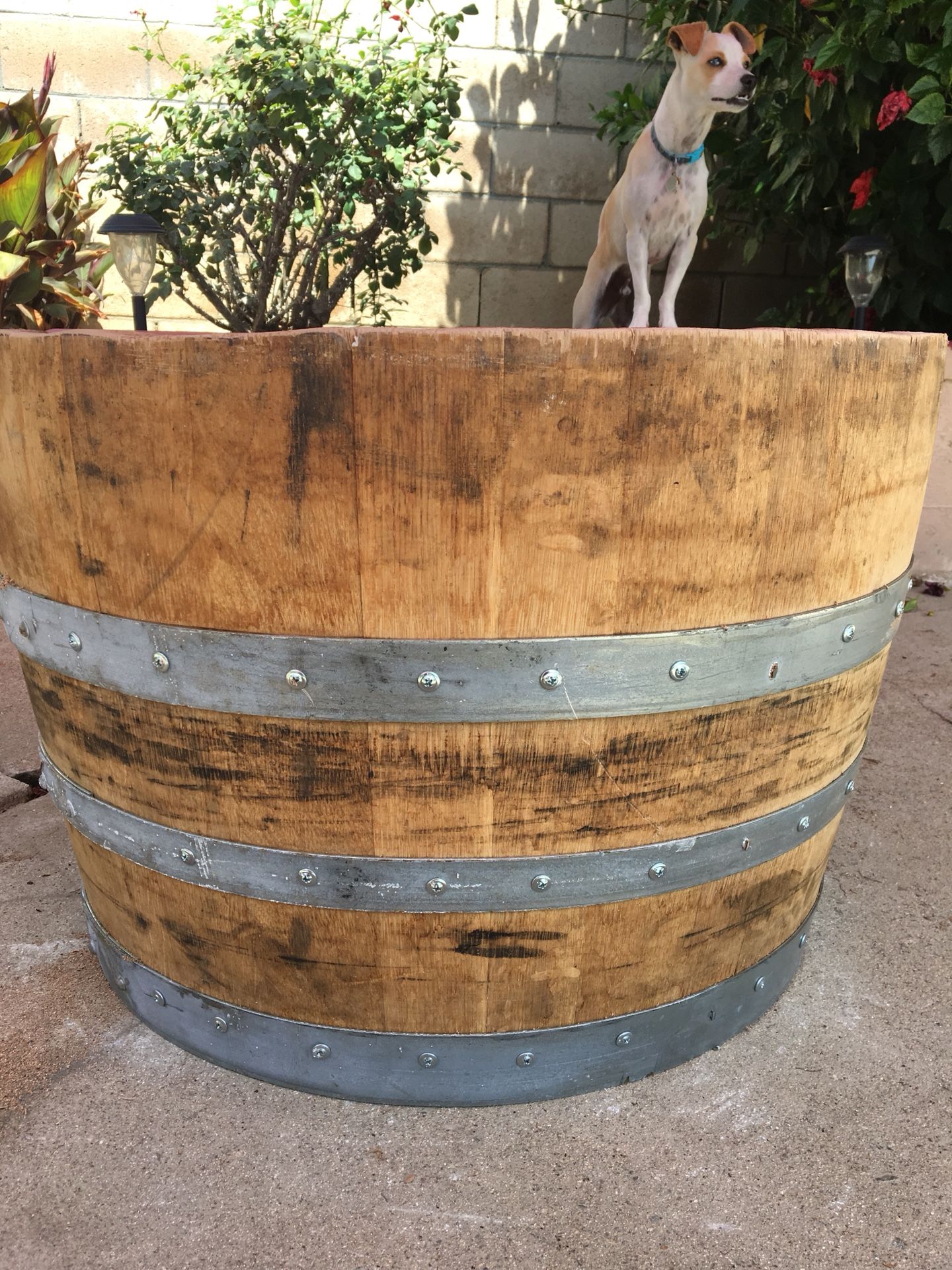 Wine barrel Planters for Sale in Victorville, CA OfferUp