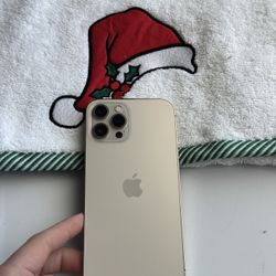 Apple iPhone 12 Pro Max Unlocked 