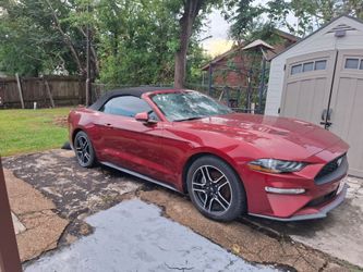 2019 Ford Mustang