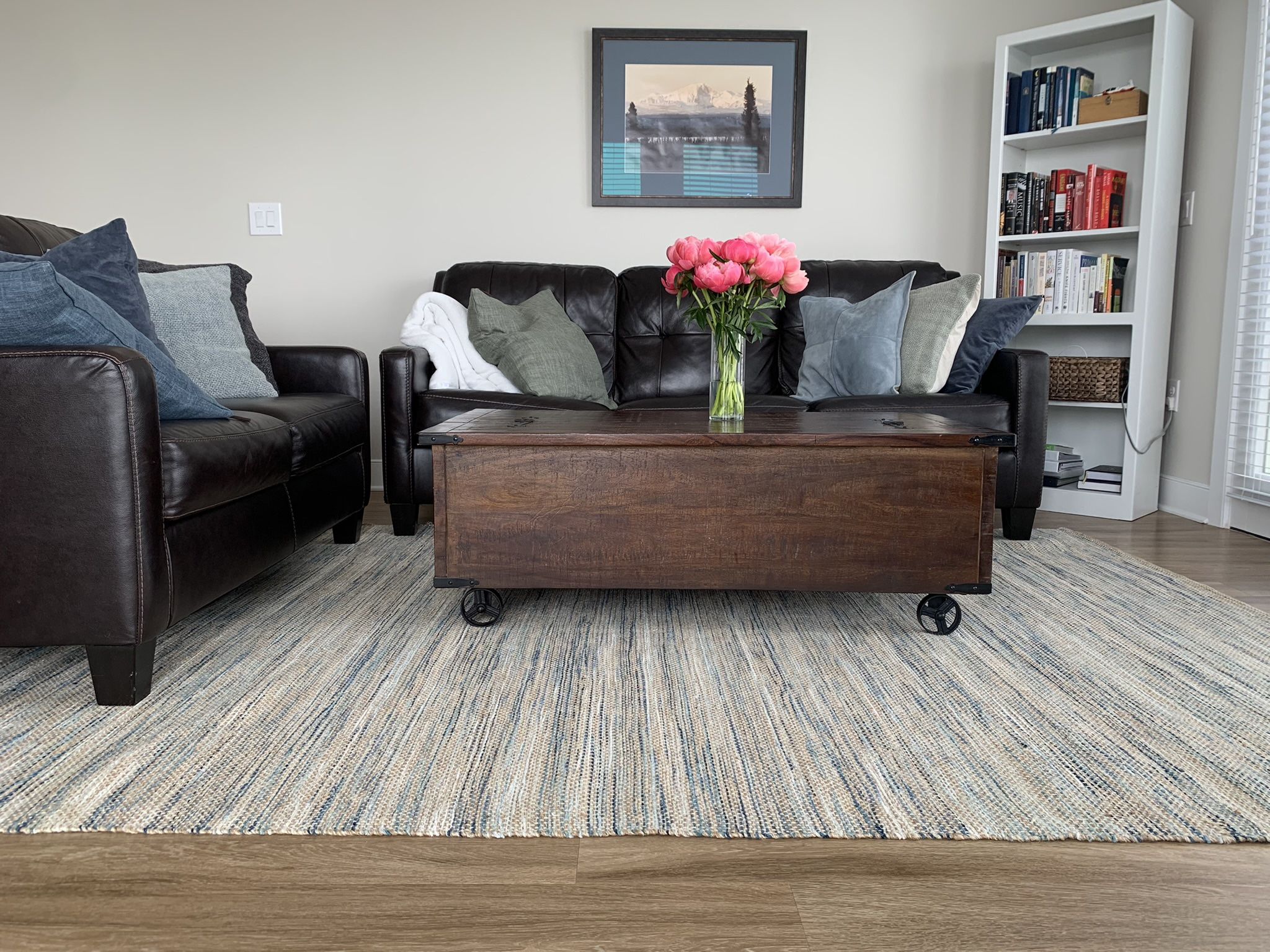 Leather Pullout Couch