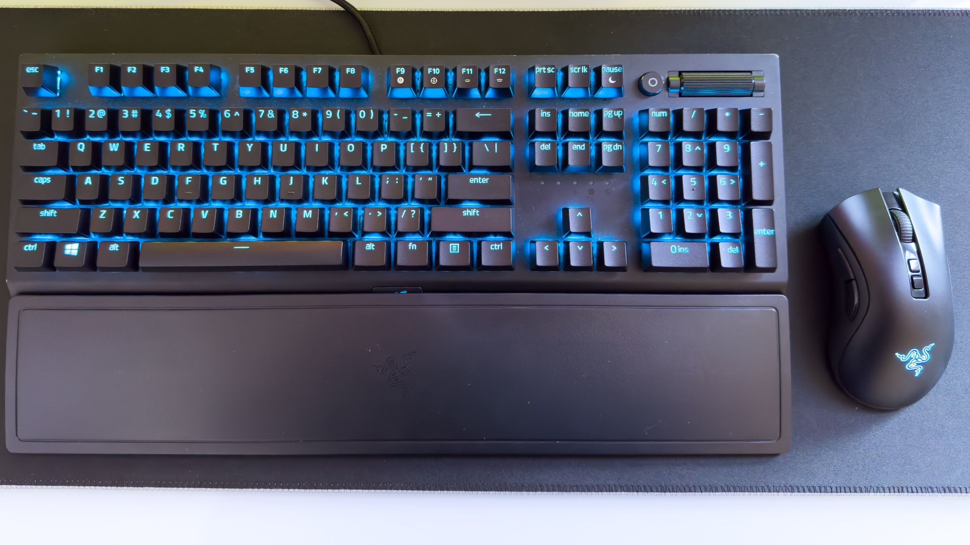 Razer Blackwidow V3 + Razer Deathadder V2 Pro