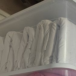 Canapy Drapes 