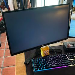 LG Monitor 