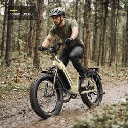 HOVSCO Long Range Ebike With Torque Sensor 