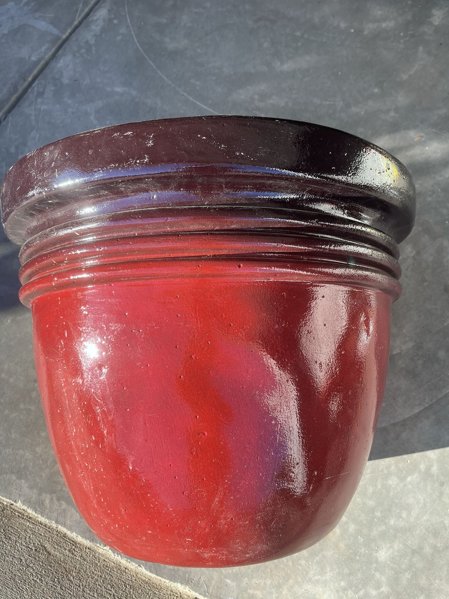 Plant Pot