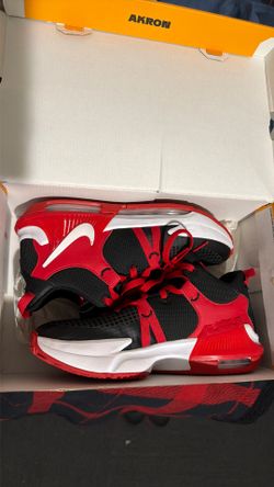 LeBron witness VII