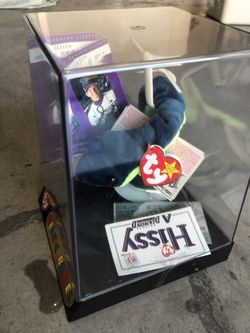 Arizona diamond backs TY beanie baby collectors edition.