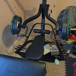 Powertec Lever Gym + Four 45 LB CAP Plates + Two 25 LB ROGUE Bumper Plates + Two 10 LB CAP Plates + Preacher Curl Attachment